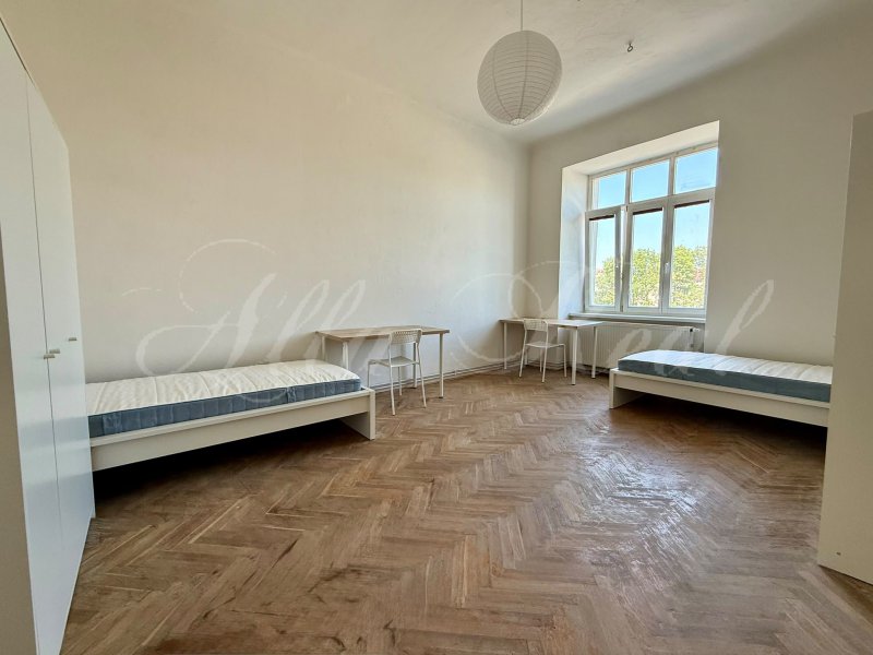 Obrázek k zakázce č.: 734411