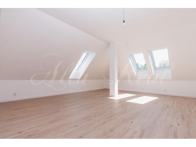 Obrázek k zakázce č.: 714822