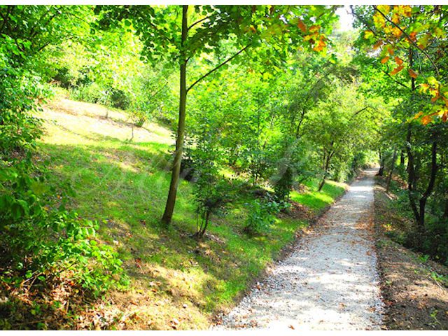 Obrázek k zakázce č.: 727271