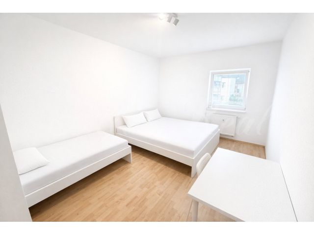 Obrázek k zakázce č.: 591323