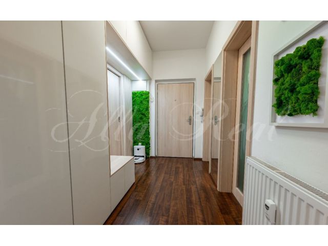 Obrázek k zakázce č.: 728501